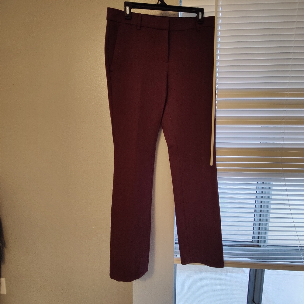 The ann taylor Straight Pant - Curvy size 4